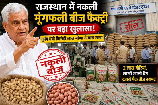 Kirodi Lal Raids Fake Peanut Seed Factory Chomu