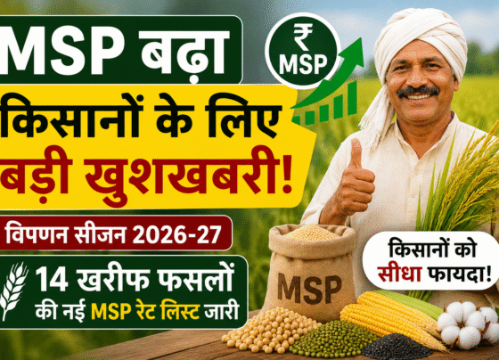 MSP Rate List 2026