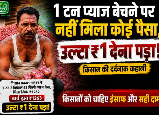 Maharashtra Onion Farmers Loss News