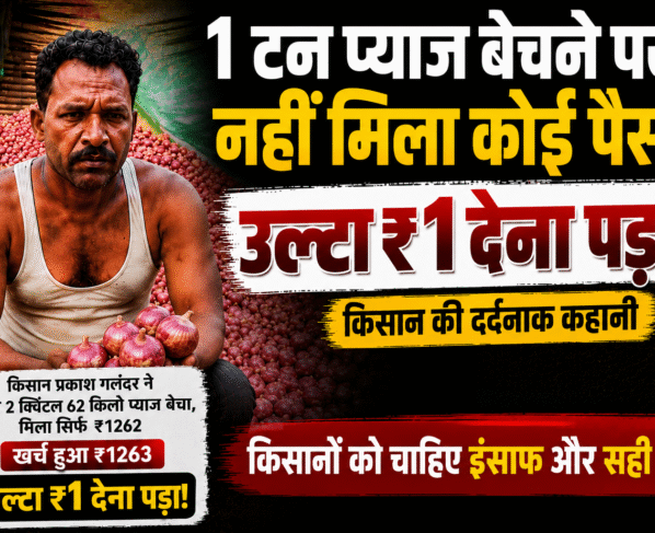Maharashtra Onion Farmers Loss News