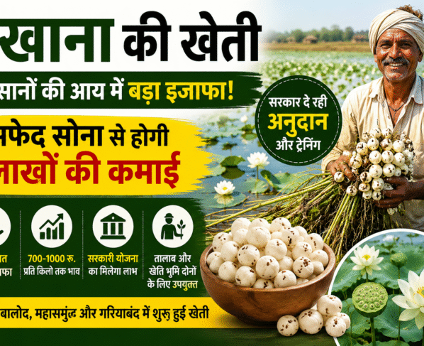Makhana Farming