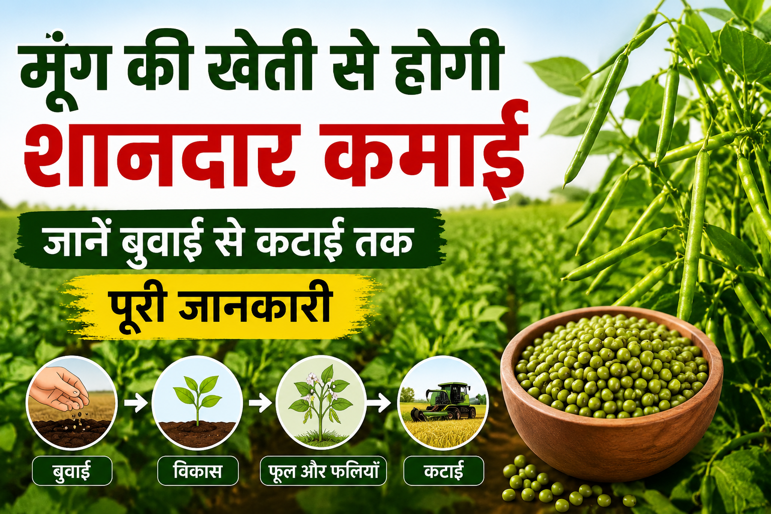 मूंग की खेती से होगी शानदार कमाई, जानें बुवाई से कटाई तक पूरी जानकारी