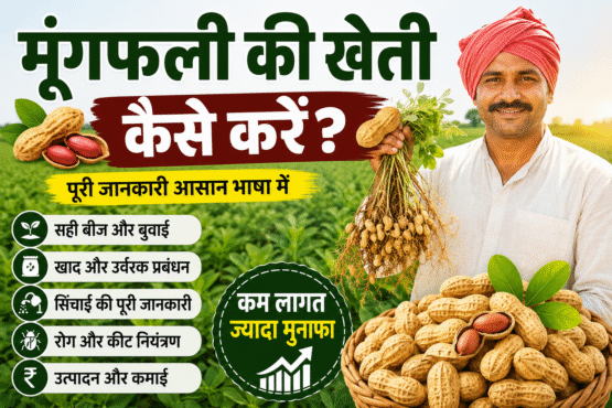 Moongfli ki kheti kaise kre