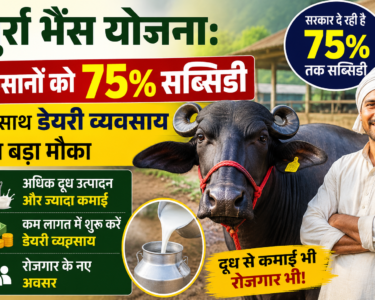 Murrah Buffalo Scheme In Madhya Pradesh