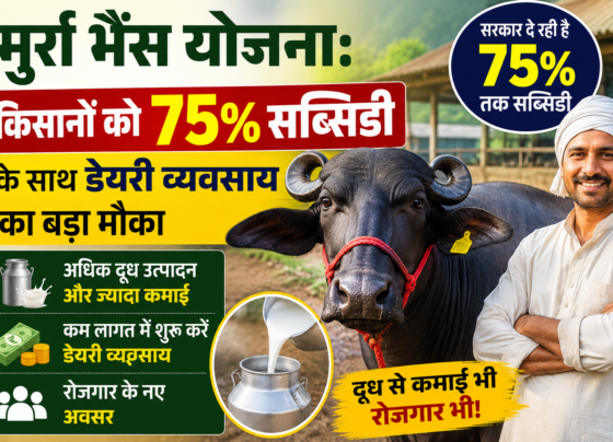 Murrah Buffalo Scheme In Madhya Pradesh