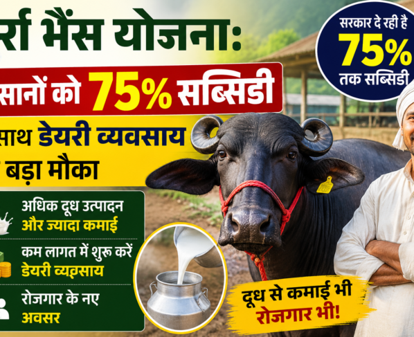 Murrah Buffalo Scheme In Madhya Pradesh