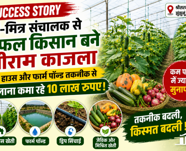 Shriram Kajla Farmer Success Story Net House Farming