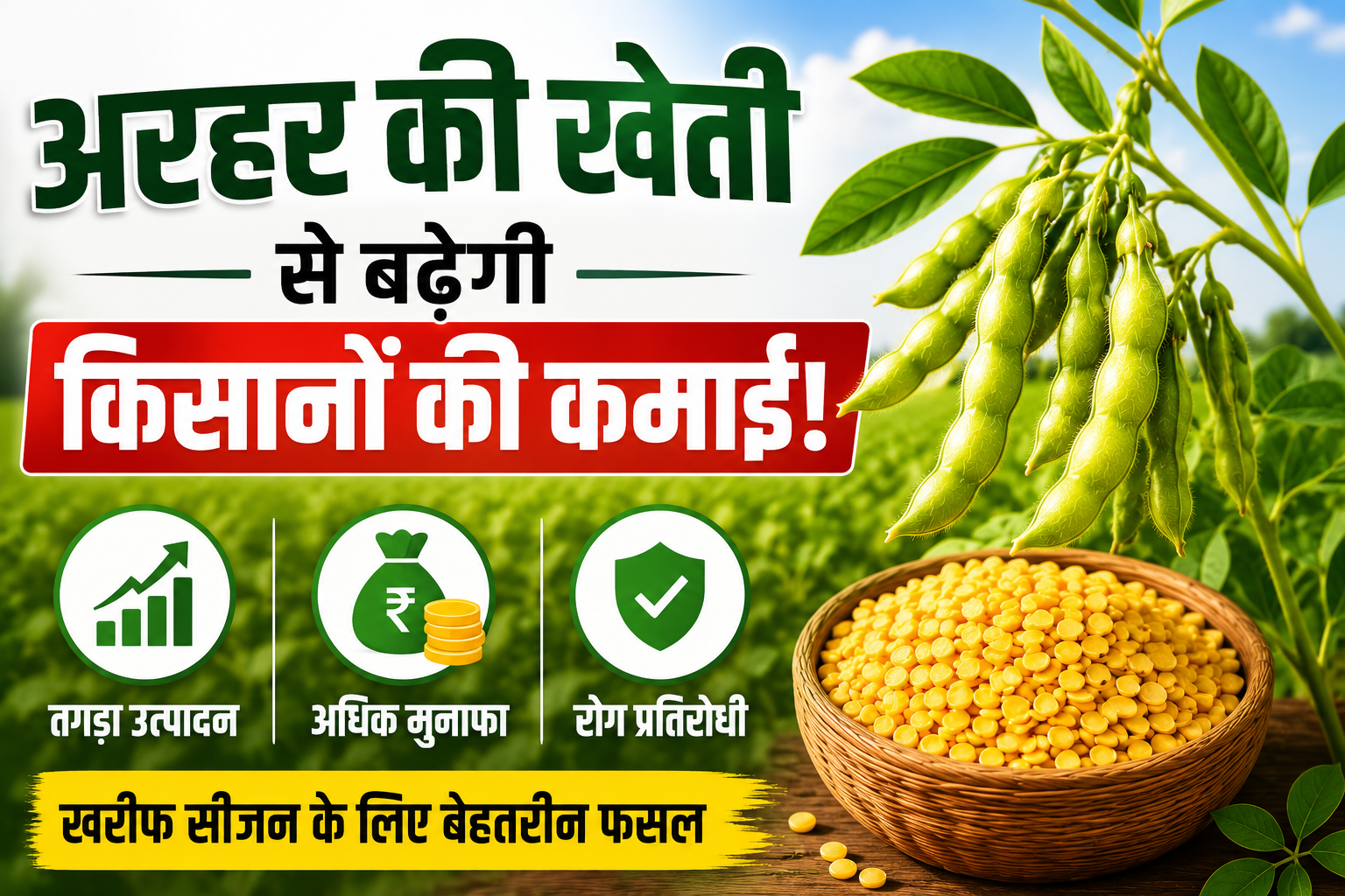 Top 3 Arhar Varieties : अरहर की ये उन्नत किस्में देंगी तगड़ा उत्पादन, किसानों को होगी शानदार कमाई