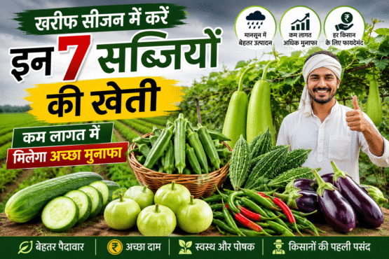 Top Vegetables for Kharif Season