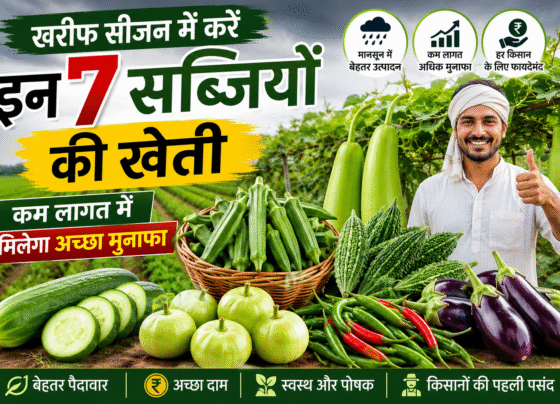 Top Vegetables for Kharif Season