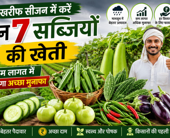 Top Vegetables for Kharif Season