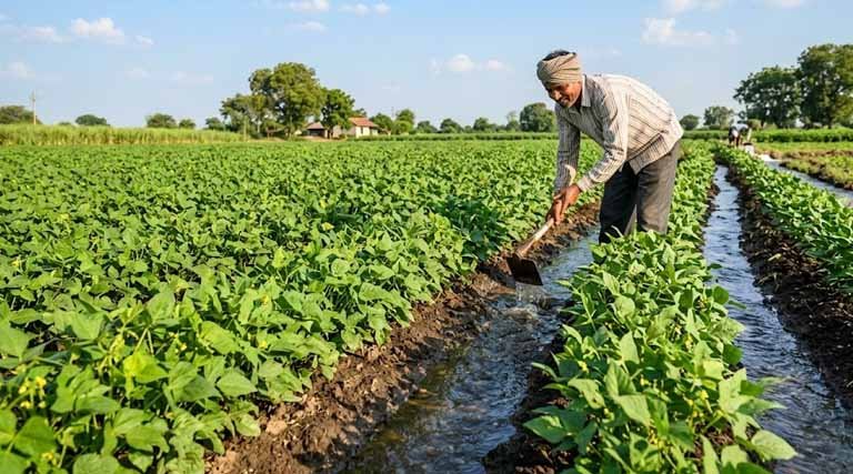 Farmer Vijay Madhukar Success Story