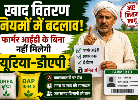 Urea DAP New Rules