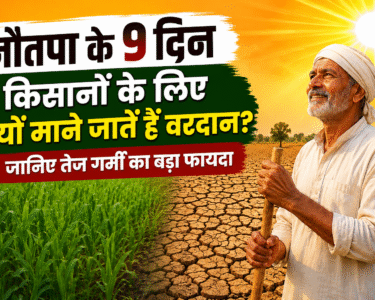 Why Nautapa Heatwave Is Important For Farmers