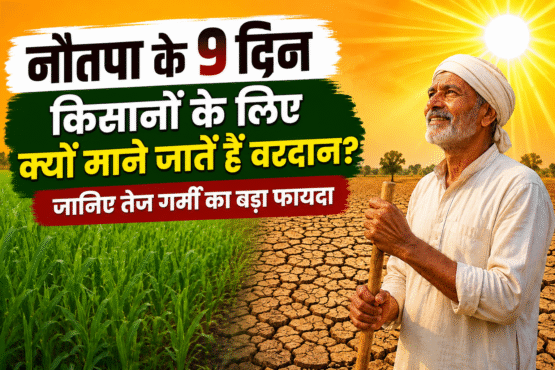 Why Nautapa Heatwave Is Important For Farmers