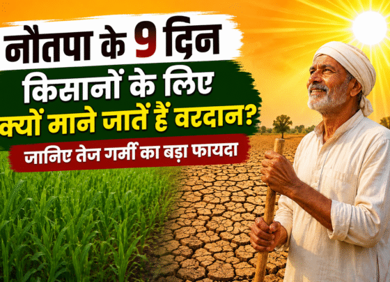 Why Nautapa Heatwave Is Important For Farmers