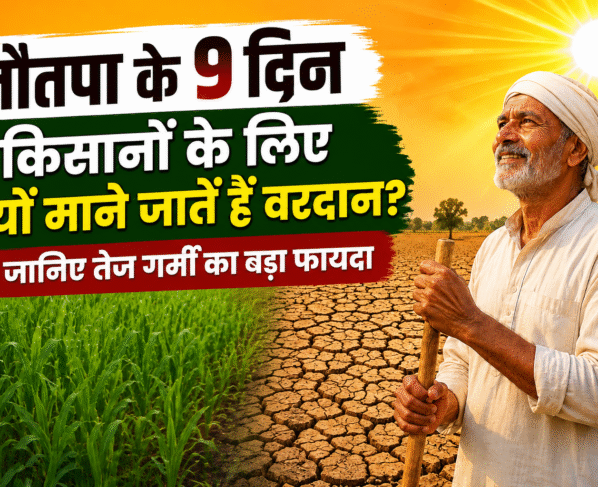 Why Nautapa Heatwave Is Important For Farmers