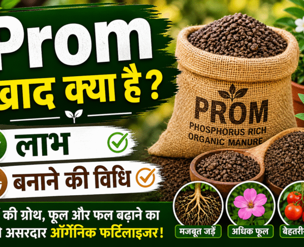Prom khad Banane Ki vidhi
