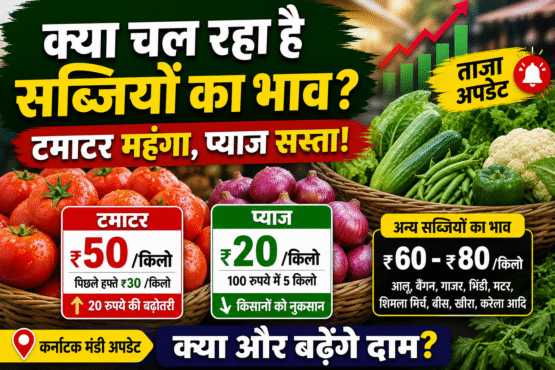 Kya Chal Rha Sabjiyo ka Bhav