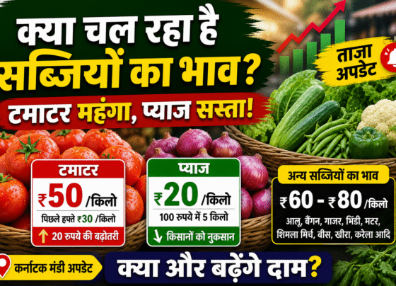 Kya Chal Rha Sabjiyo ka Bhav