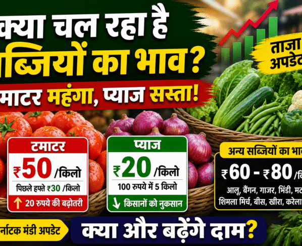Kya Chal Rha Sabjiyo ka Bhav