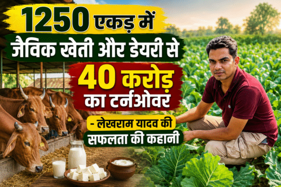 Success story of organic farmer lekhram yadav