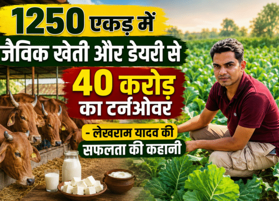 Success story of organic farmer lekhram yadav