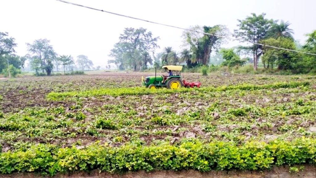 Hari Khad Banane Ki Vidhi