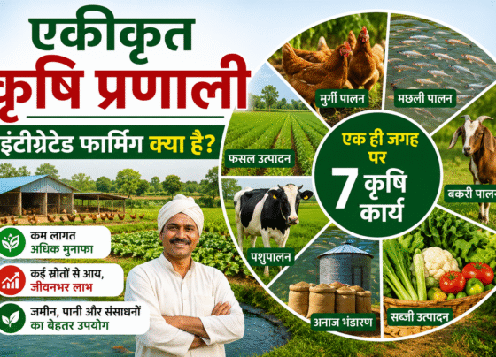 Integrated Farming Kya Hai