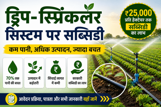 Drip Sprinkler System par Subsidy