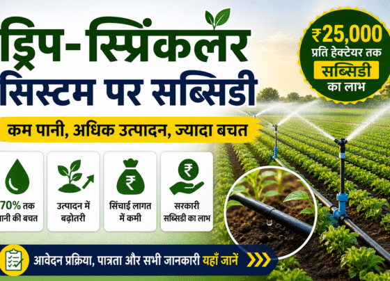 Drip Sprinkler System par Subsidy
