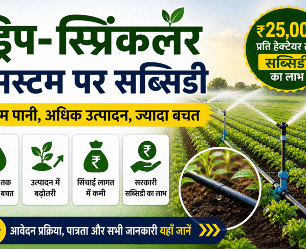 Drip Sprinkler System par Subsidy