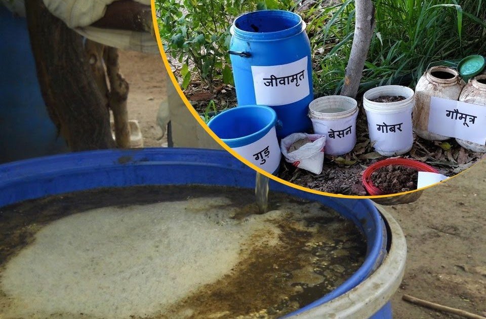 Jivamrit Kaise Bnaye