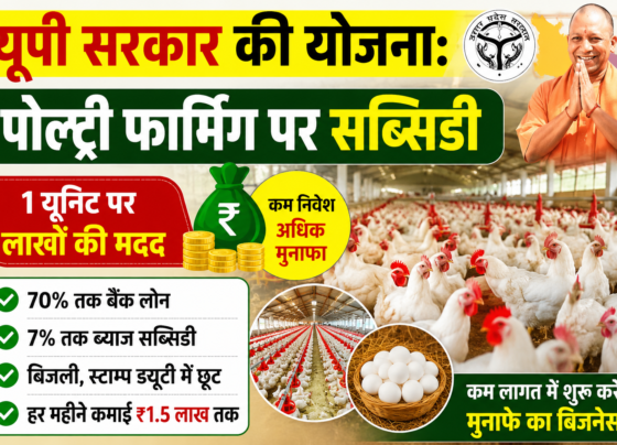 UP Sarkar Ki Yojana