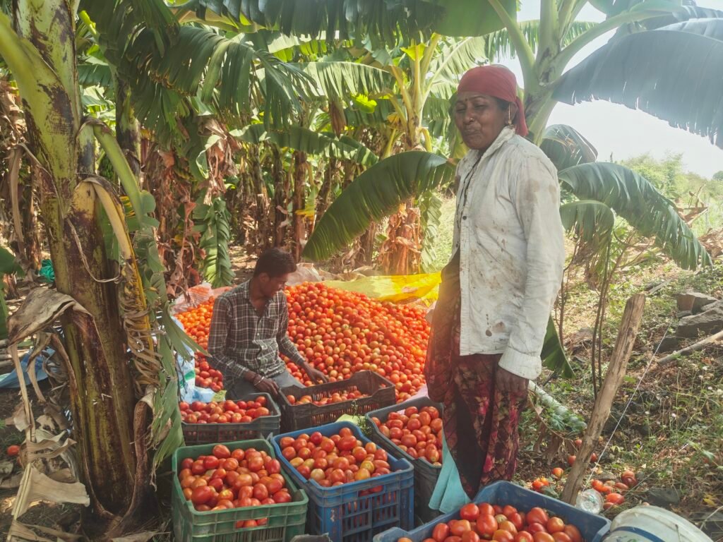 Organic Farming Success Story