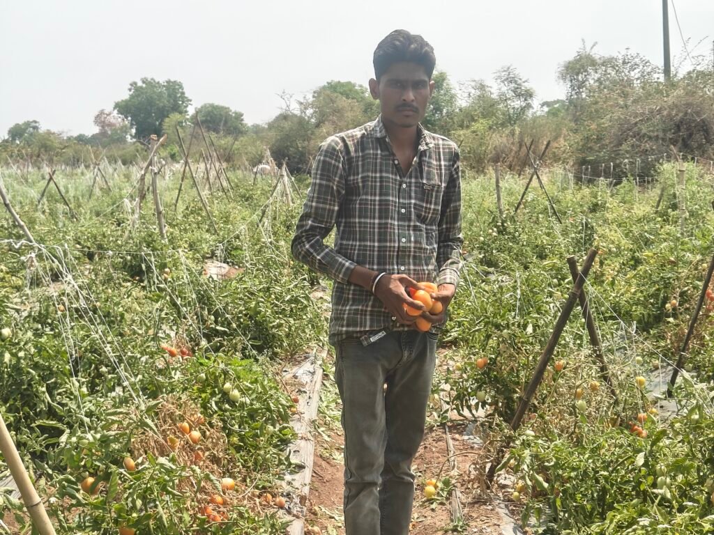 Organic Farming Success Story