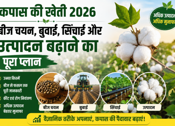 Kapas ki Kheti 2026