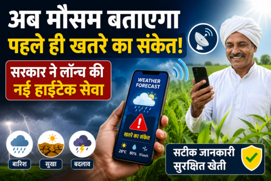 Weather Forecast Products