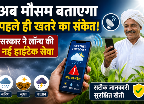 Weather Forecast Products