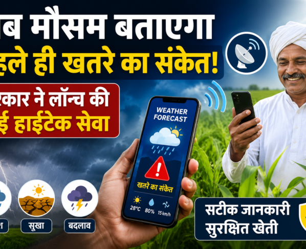 Weather Forecast Products