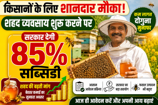 Haryana Government Supports Beekeeping With 85 Percent Subsidy