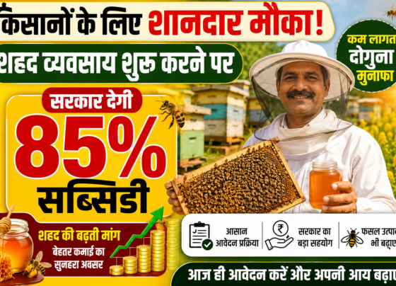 Haryana Government Supports Beekeeping With 85 Percent Subsidy