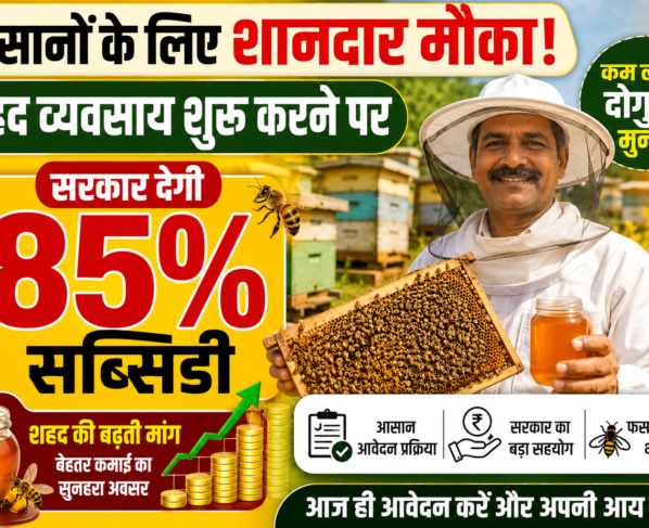 Haryana Government Supports Beekeeping With 85 Percent Subsidy