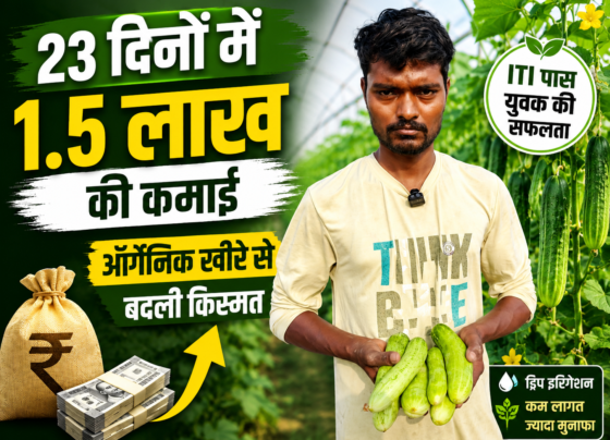 Akhilesh Maurya Organic Cucumber Farming Success Story in Mau UP