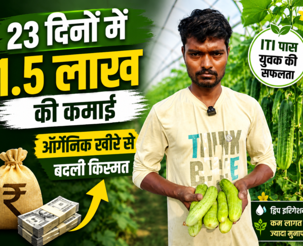 Akhilesh Maurya Organic Cucumber Farming Success Story in Mau UP