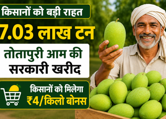 Andhra Pradesh Totapuri Mango Government Procurement 2026