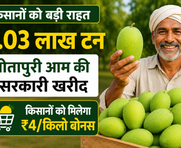 Andhra Pradesh Totapuri Mango Government Procurement 2026
