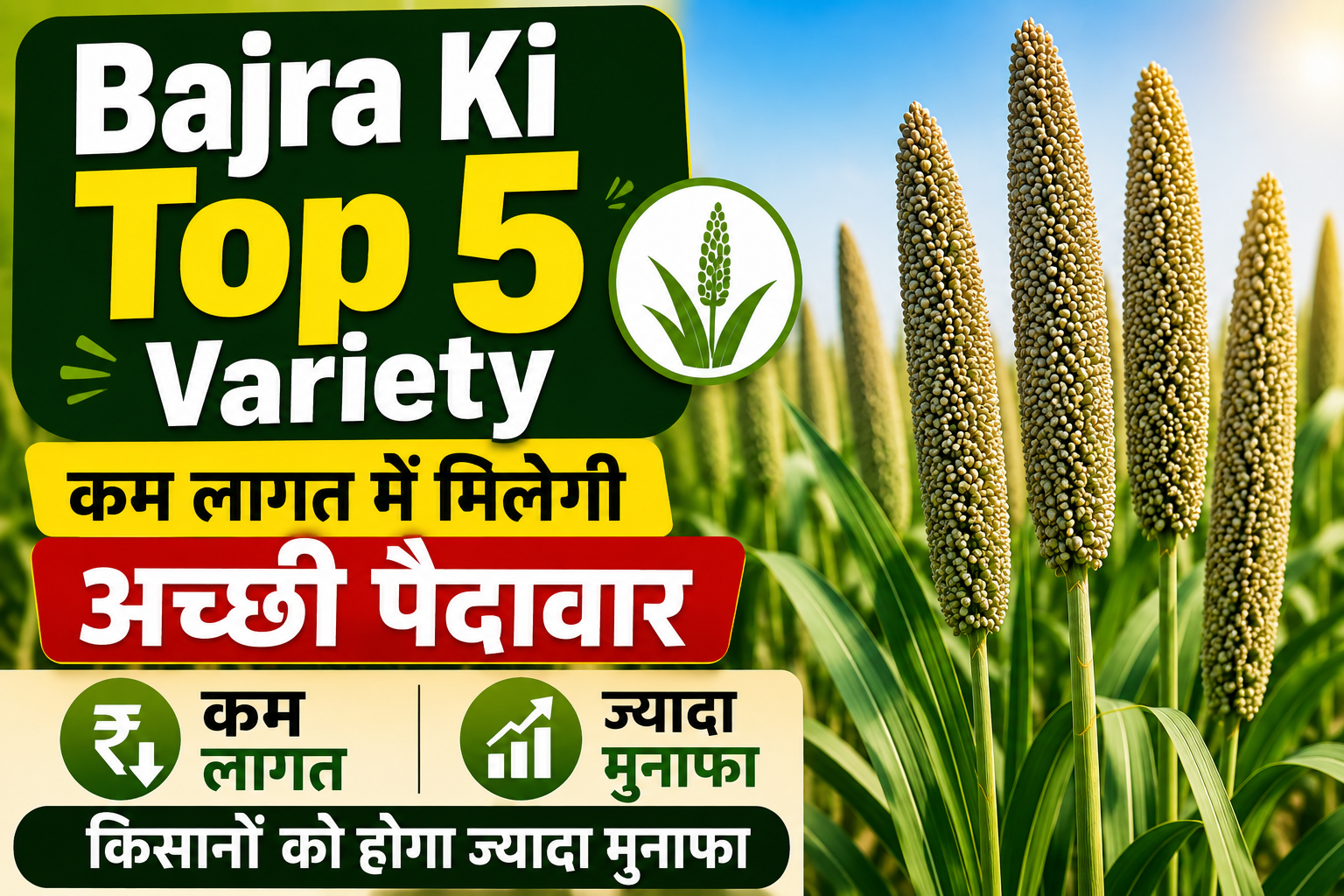 Bajra Ki Top 5 Variety : कम लागत में मिलेगी अच्छी पैदावार, किसानों को होगा ज्यादा मुनाफा