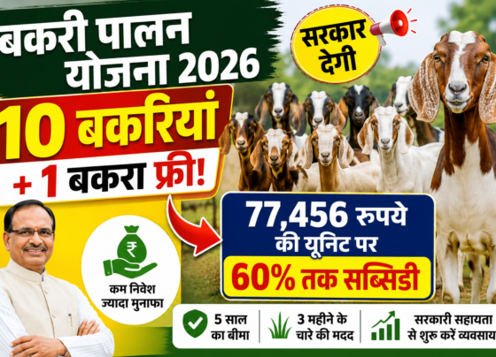 Bakri Palan Yojana 2026