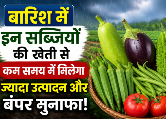 Barish me Konsi Sabji Lagaye